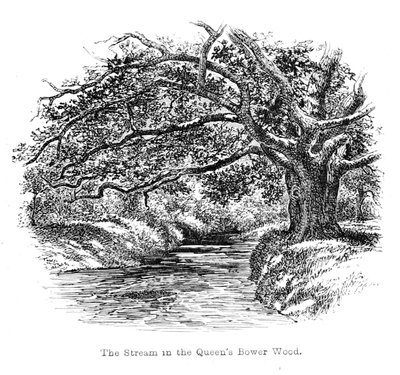 The Stream in the Queen